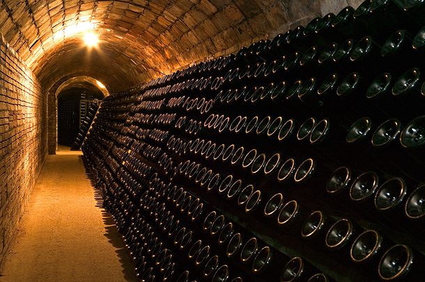 Bottles of Cava aging in the cellar