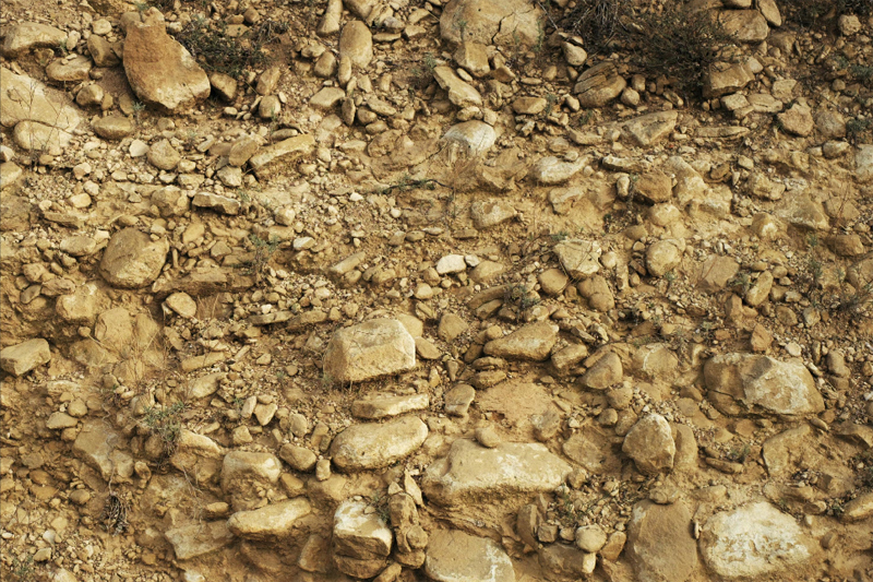 The poor, rocky soil of <I>La Celada</i>