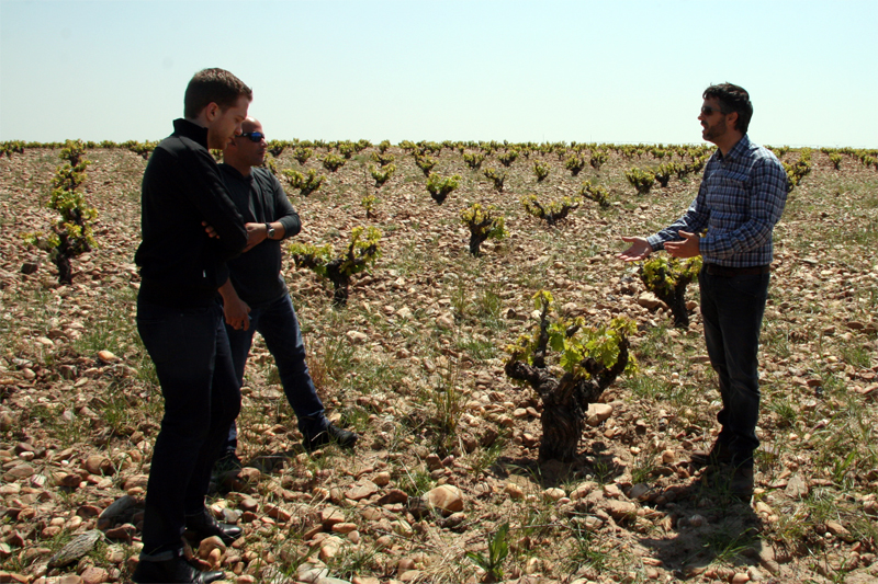 Eduardo discussing vineyard techniques