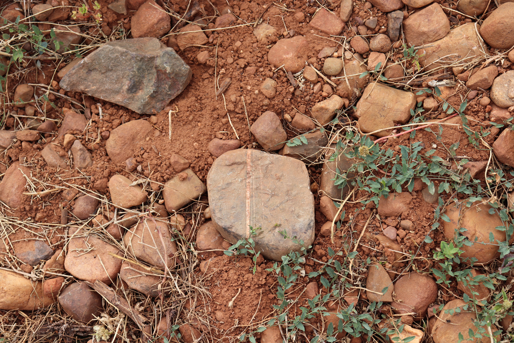 Wide range of stone type and color in clay soils